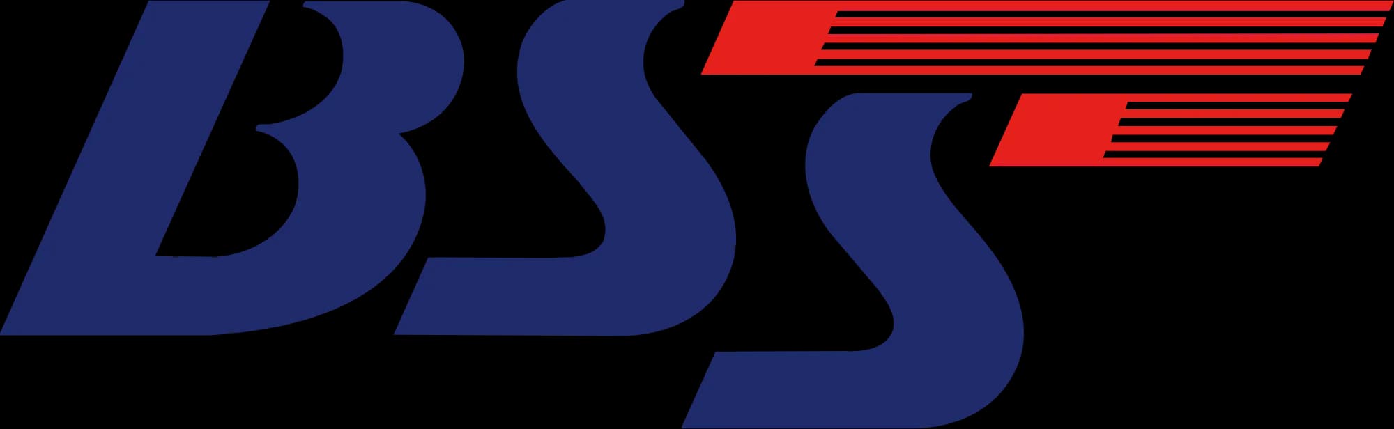 BSS 로고