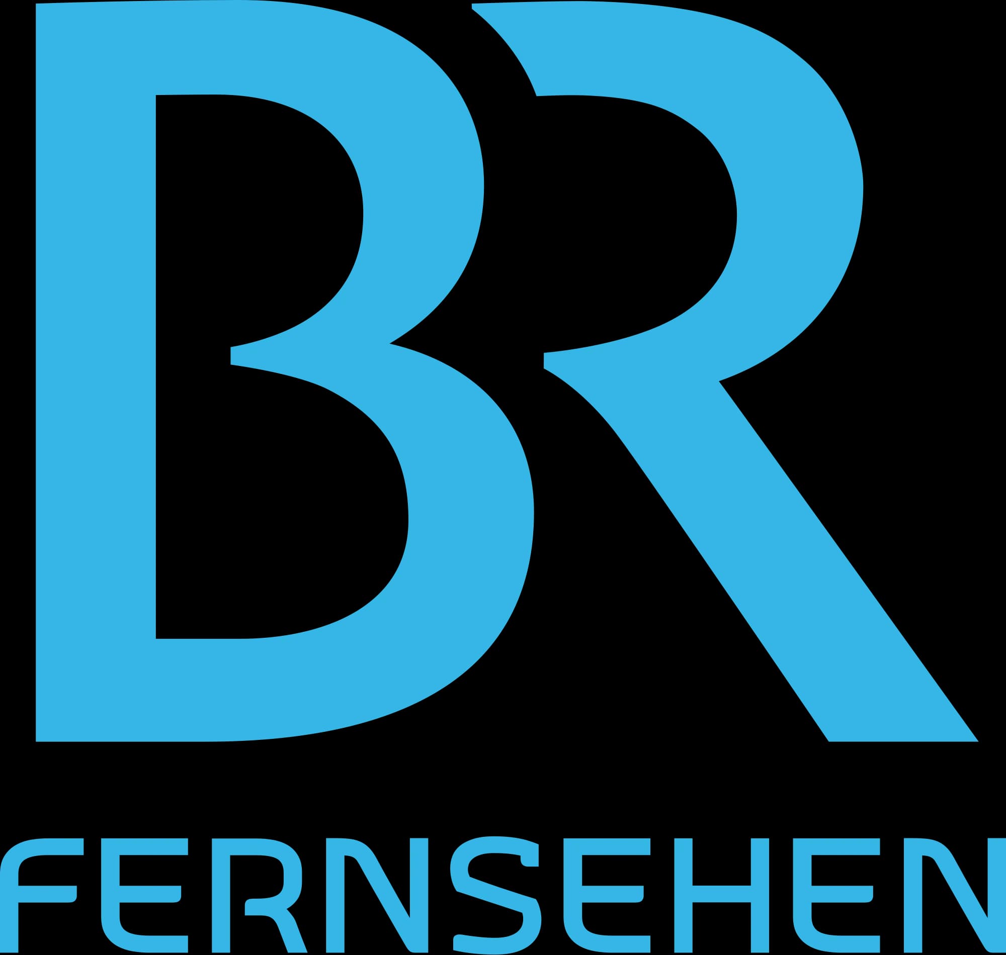 BR Fernsehen 标志