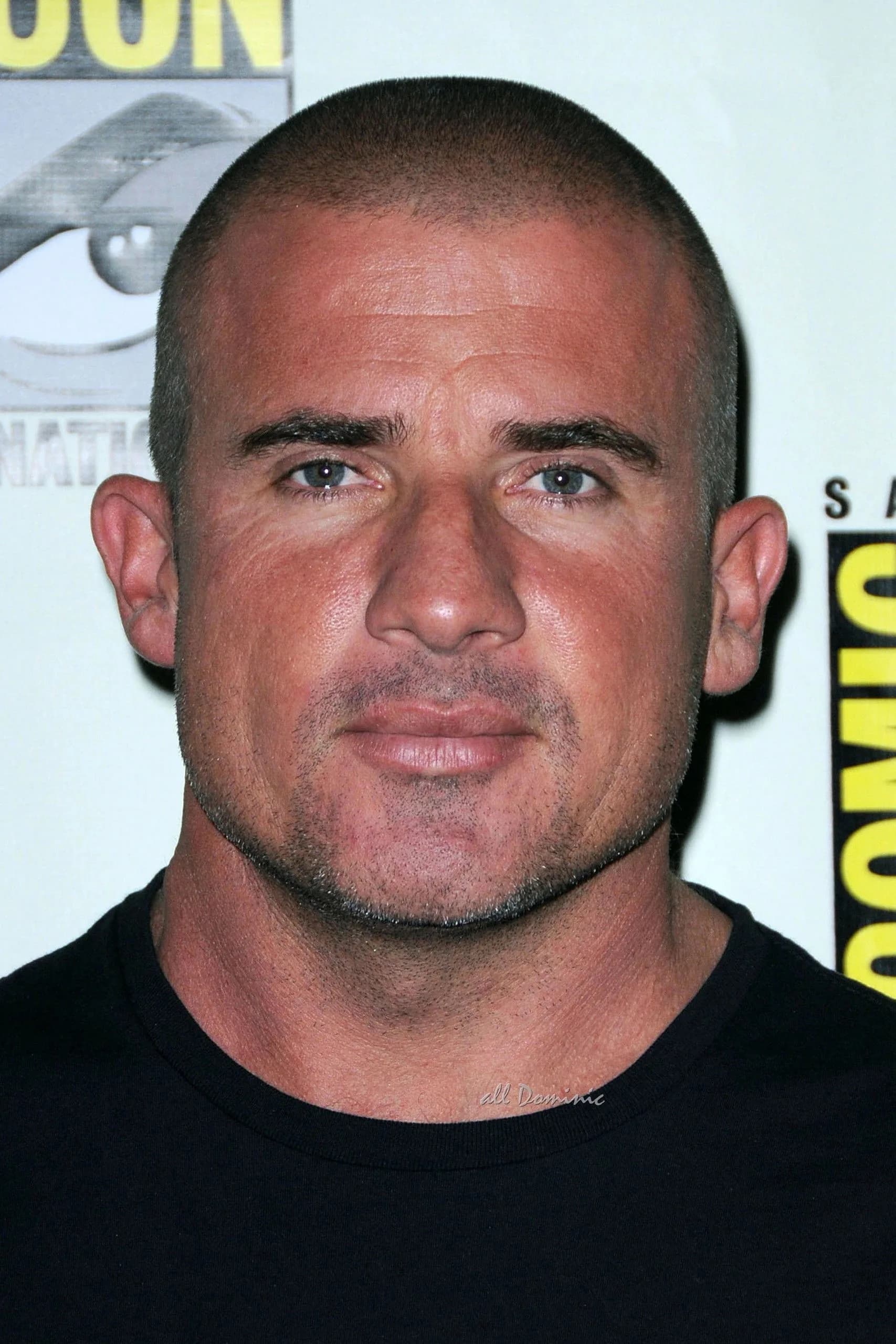 Dominic Purcell fotoğrafı