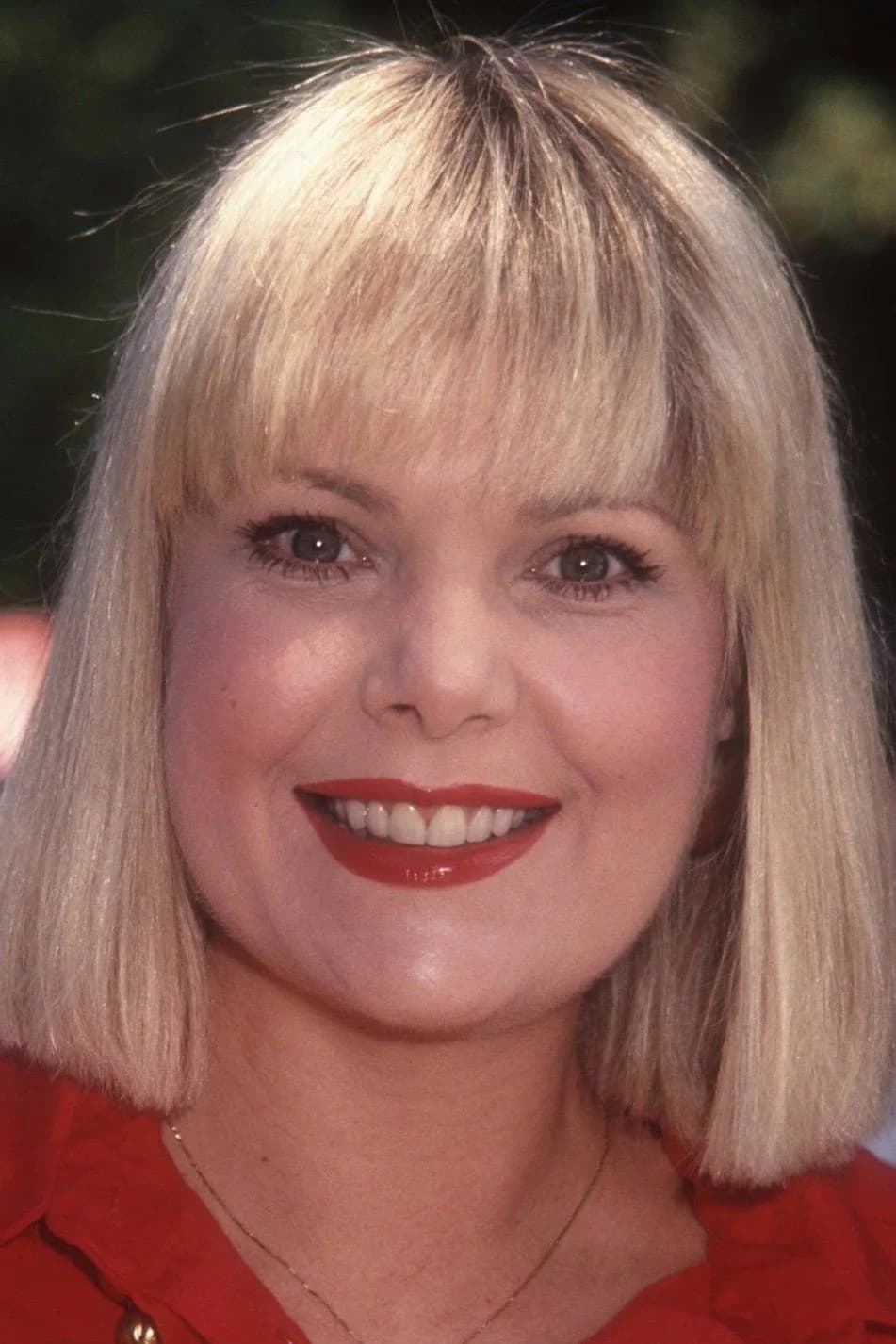 Ann Jillian photo