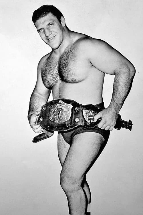 Bruno Sammartino photo