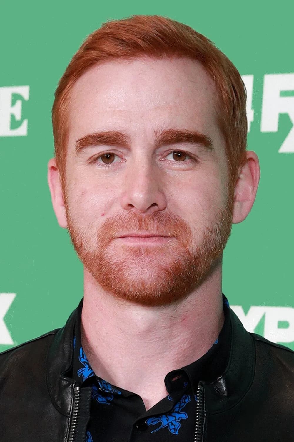 Andrew Santino的照片