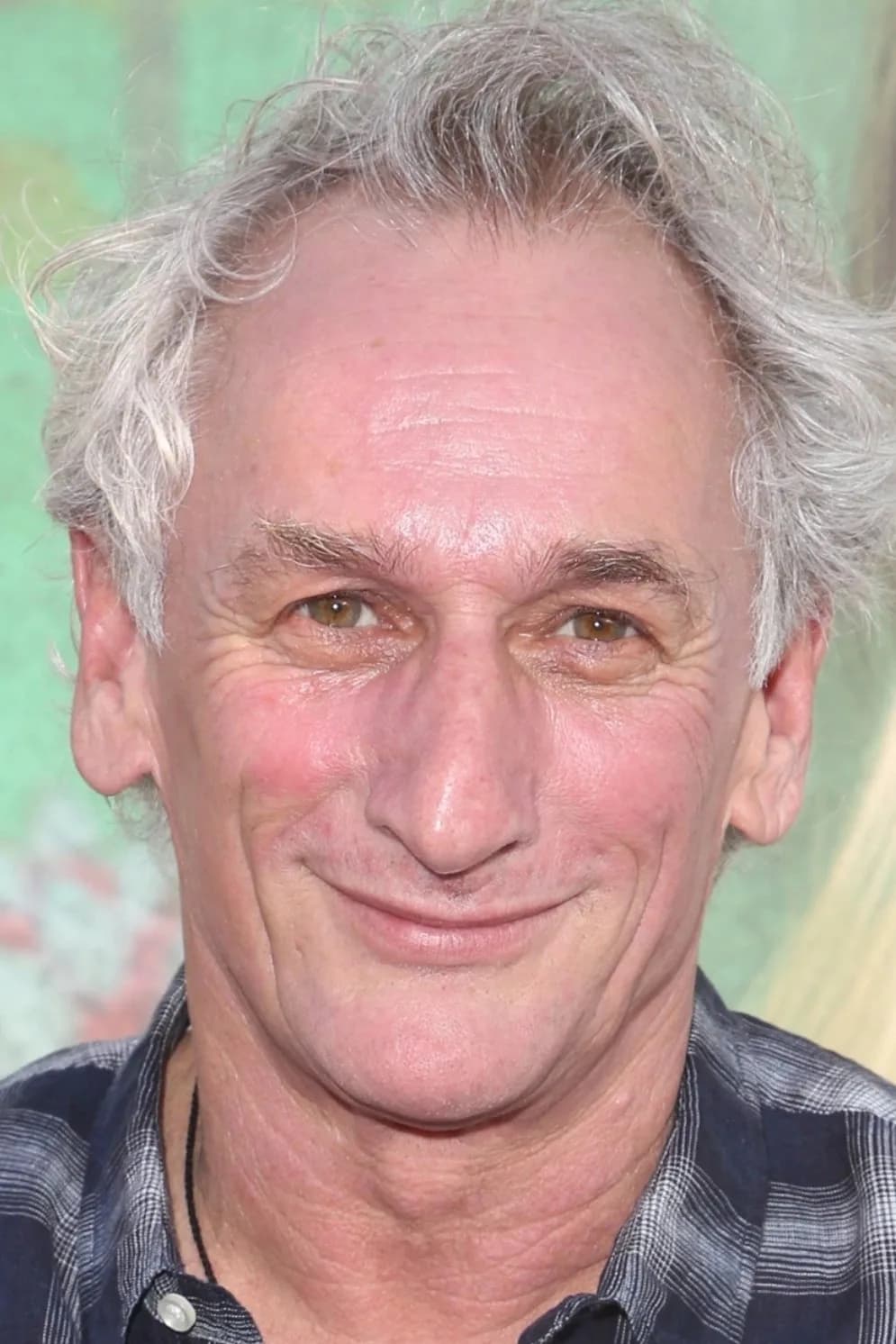 Foto di Matt Craven