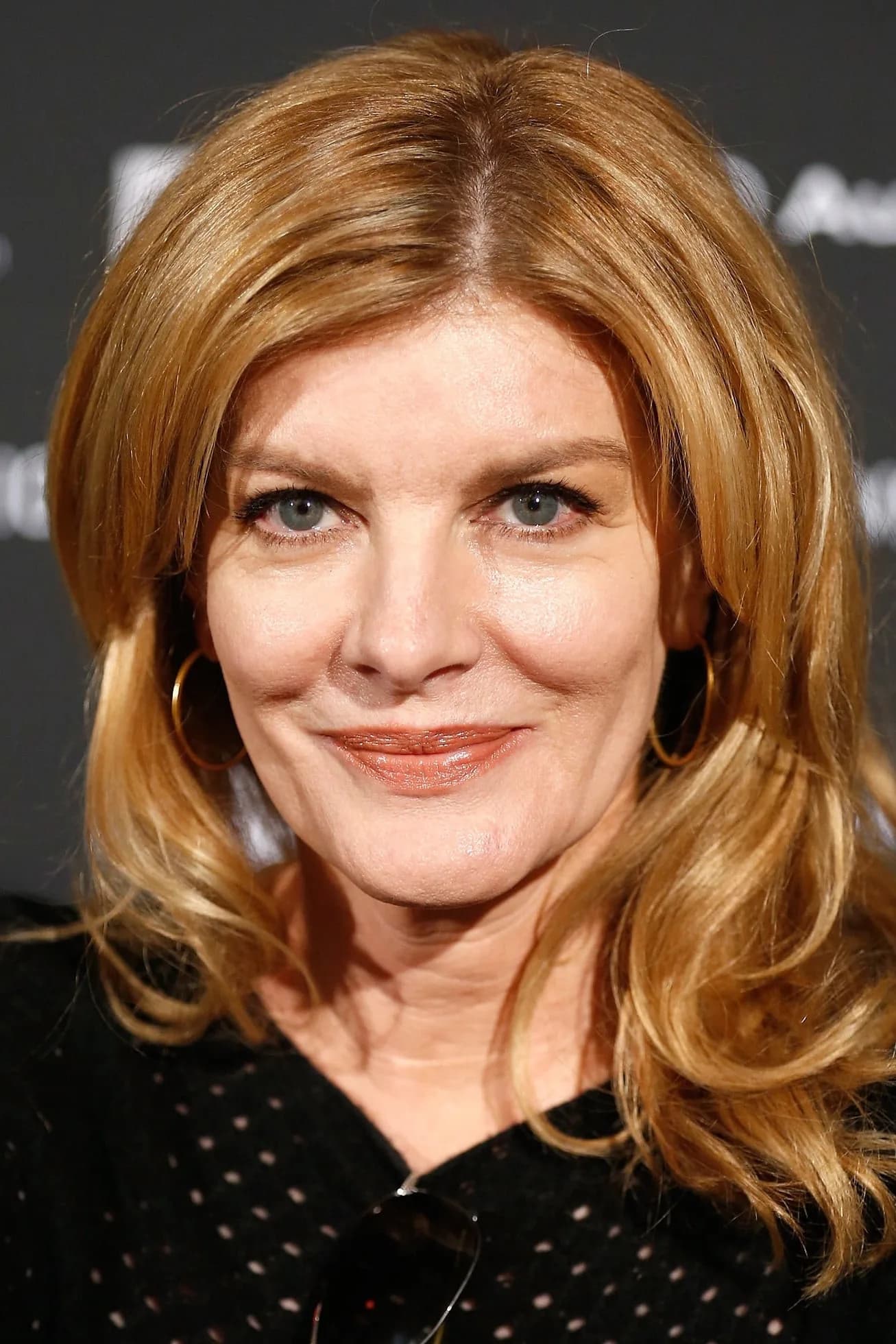 Rene Russo की तस्वीर