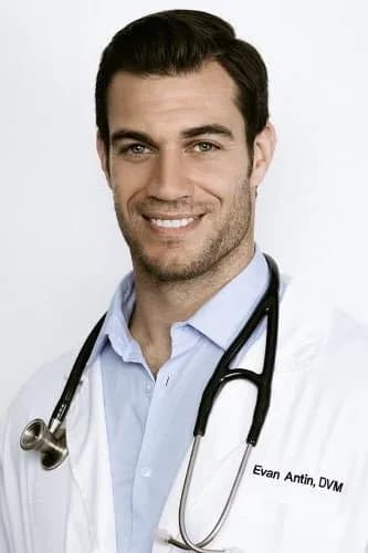 Evan Antin photo