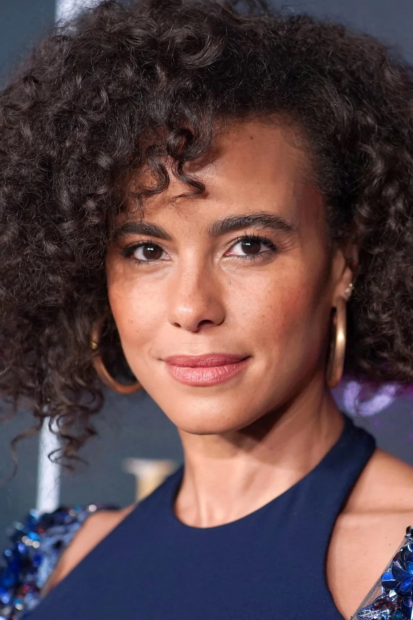 صورة Parisa Fitz-Henley