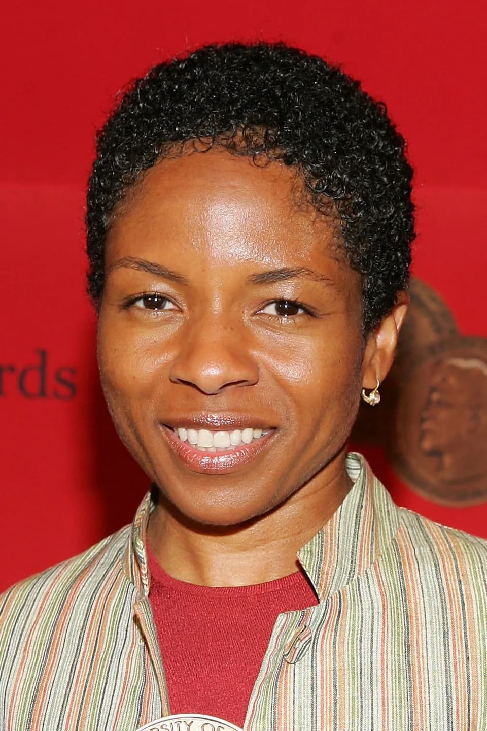 صورة LisaGay Hamilton