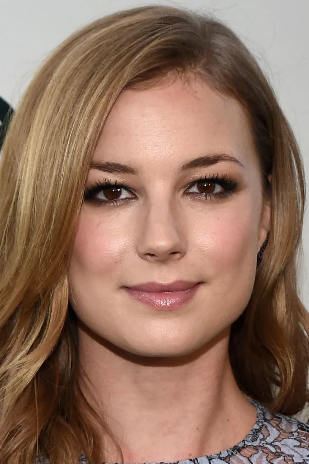 Emily VanCamp 사진