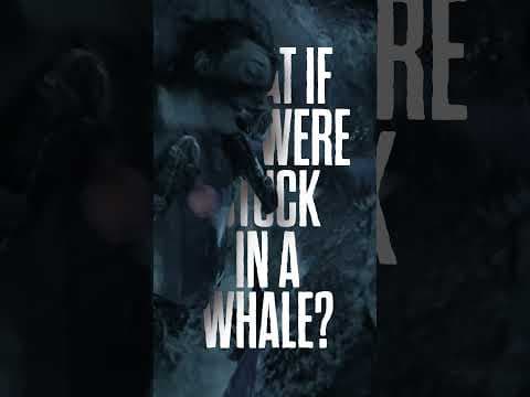 Official video