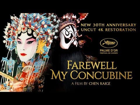Resmi video