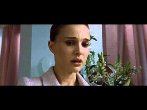 Offizielles Video