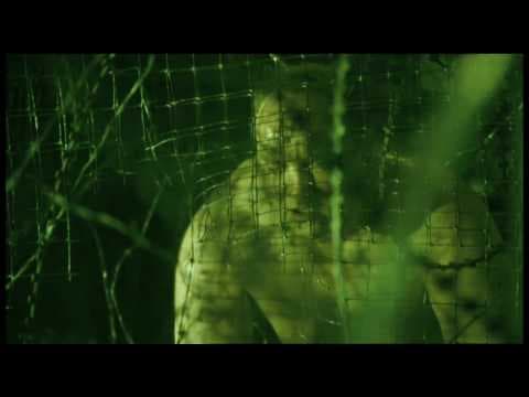 Offizielles Video