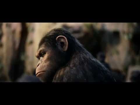 Официальное видео