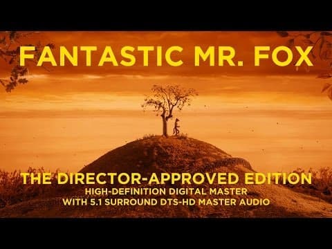 Resmi video