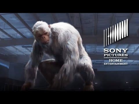 Vidéo officielle