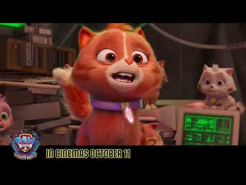 Offizielles Video