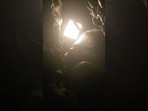 Official video