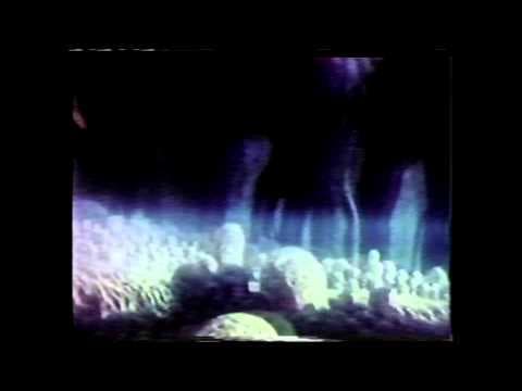 Official video