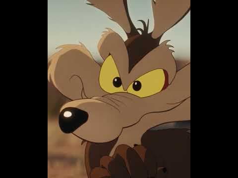 Offizielles Video