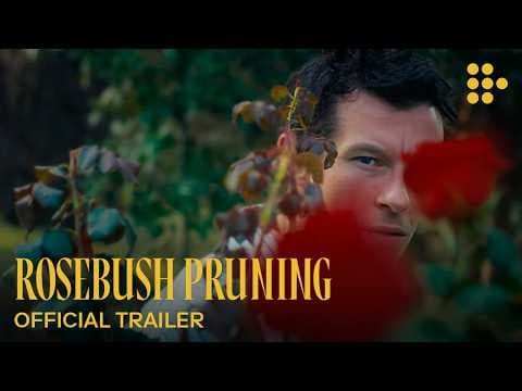 Official video