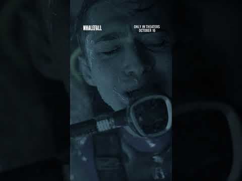 Official video