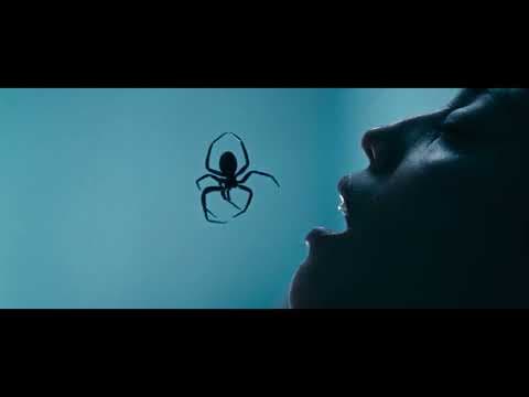Resmi video
