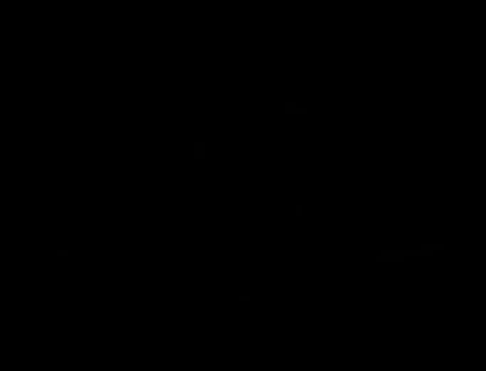 Lumière logotipo