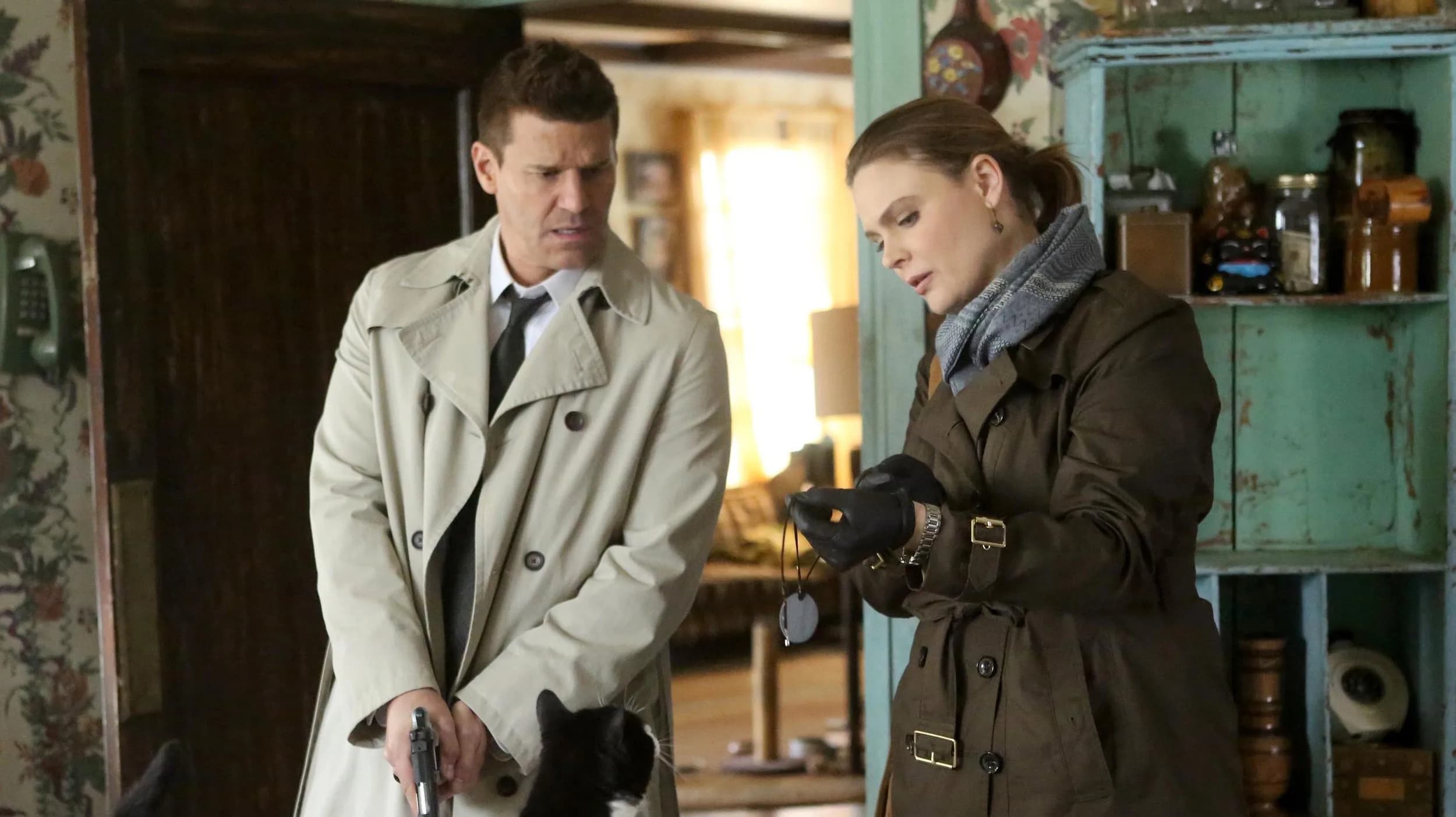 Imagen de The Monster in the Closet