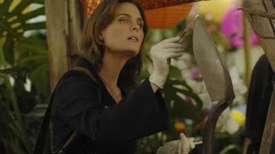 Imagen de The Perfect Pieces in the Purple Pond