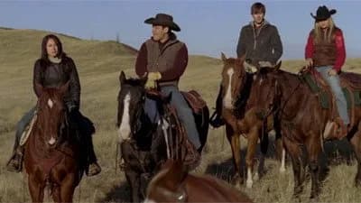 Image de Wild Horses