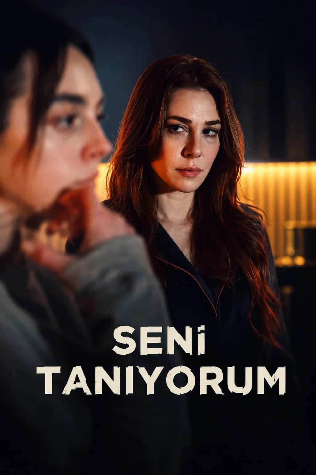 Seni Tanıyorum posteri