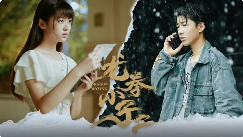 Banner for 龙拳小子2