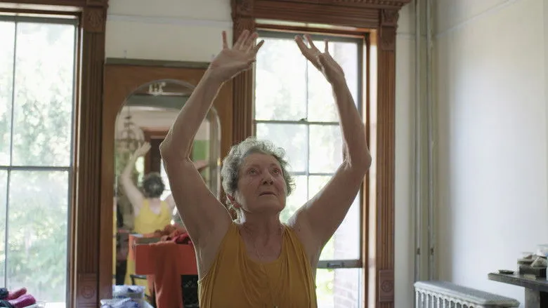 Banner for A Life in Color