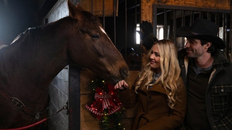 Banner for Noël sous les flocons