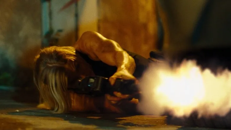 Banner for Project: Affinity