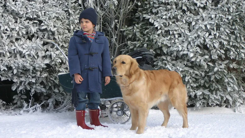 Banner for After Thomas