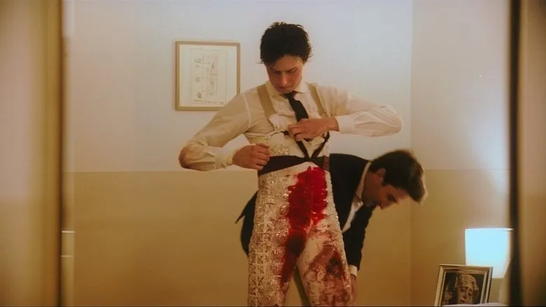 Banner for Afternoons of Solitude