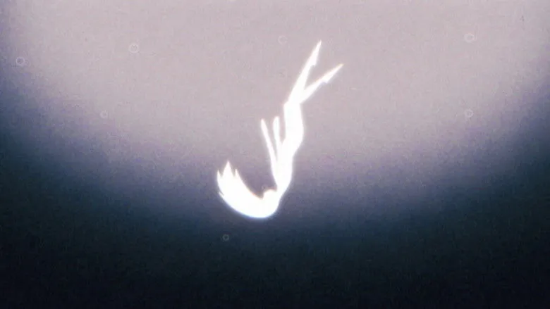 Banner for All Of My Feelings