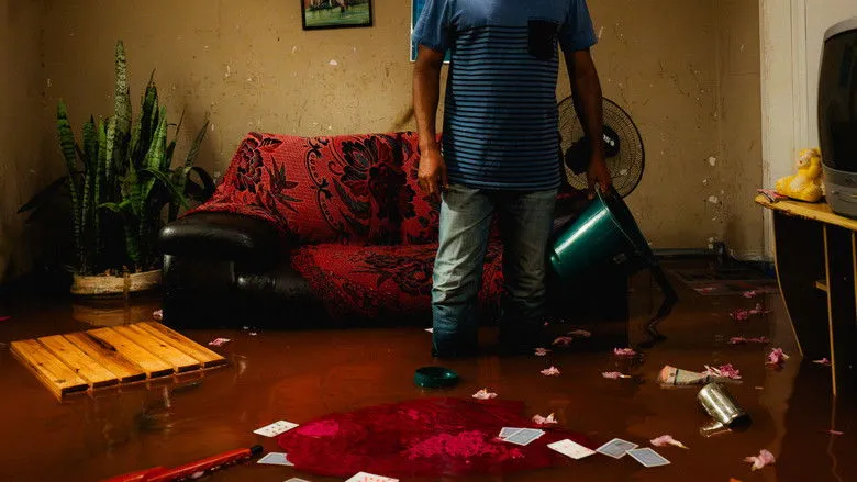 Banner for Arrudas Boulevard