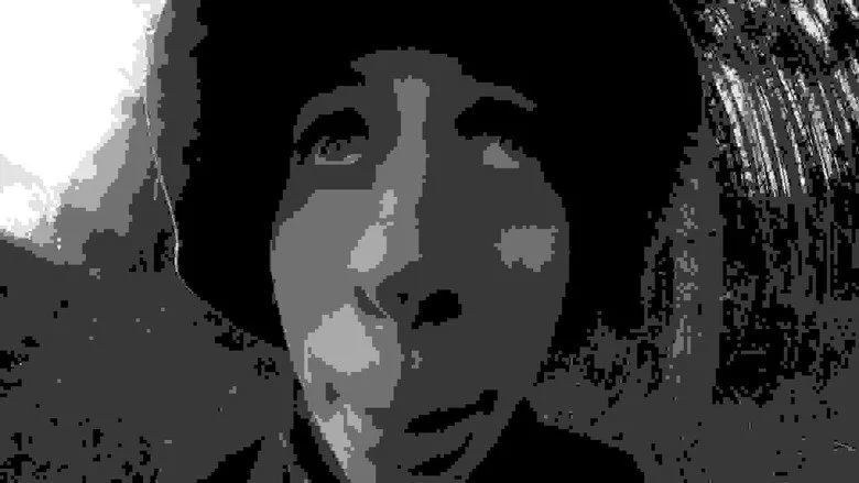 Banner for Beautiful Fish