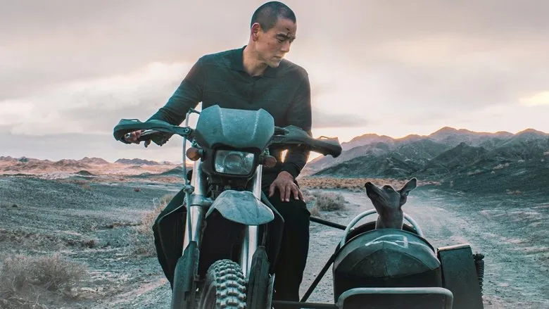 Banner for Black Dog