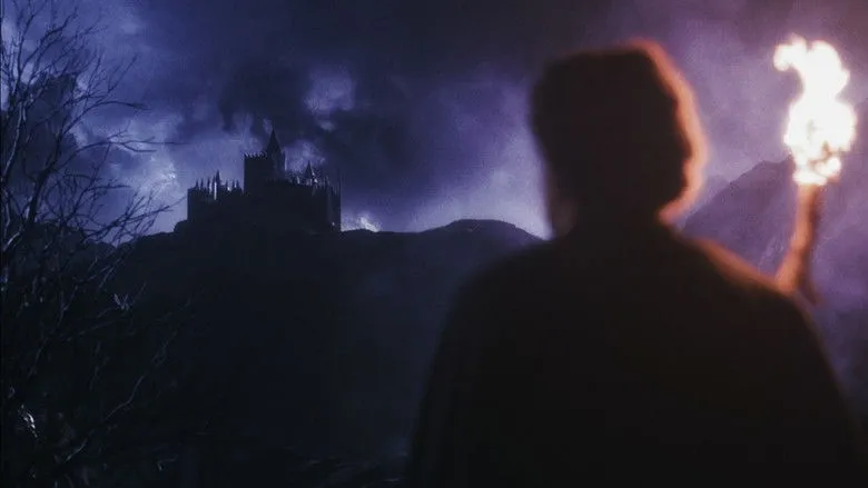 Banner for Blood Sugar