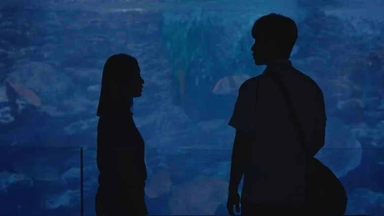 Banner for Boy in the Pool