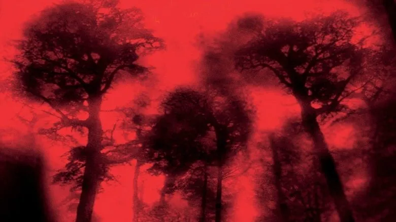 Banner for Cabin Fever