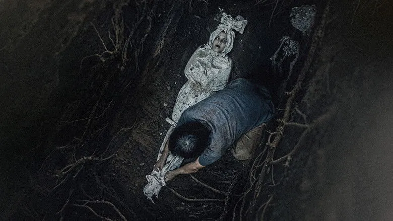 Banner for Call of The Dead