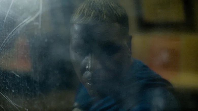 Banner for Caterpillar