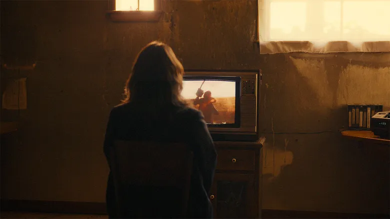 Banner for Chain Reactions