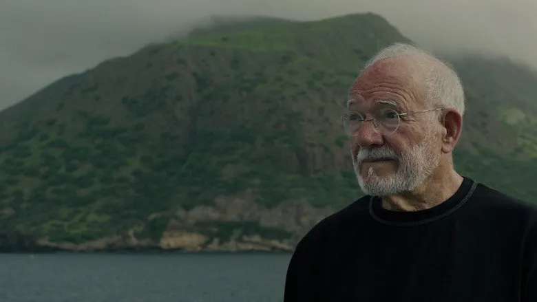 Banner for Chão Verde de Pássaros Escritos