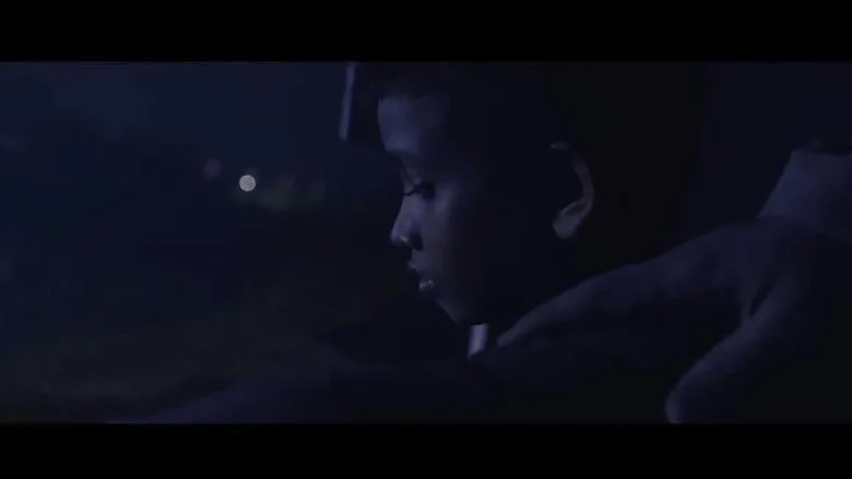 Banner for City of Oz