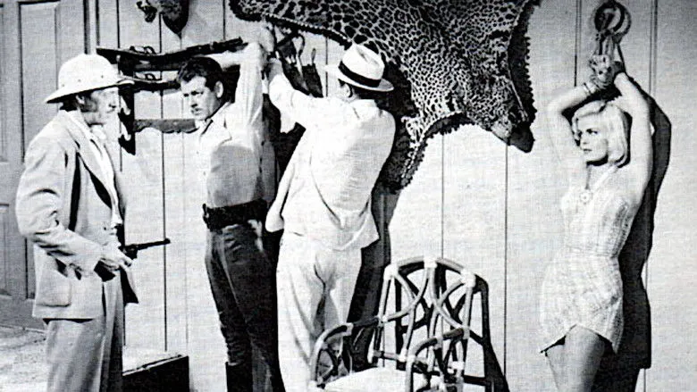 Banner for Congo Bill